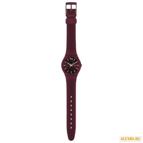 Наручные часы swatch GZ259S