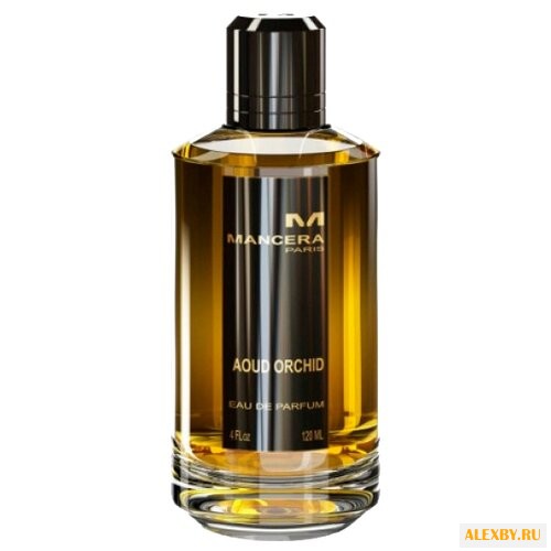 Mancera Aoud Orchid