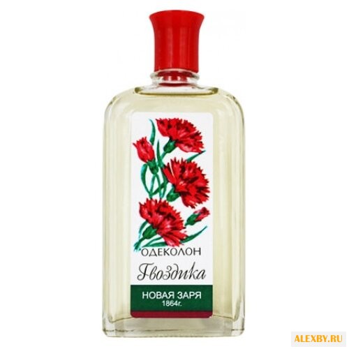 Новая Заря Гвоздика