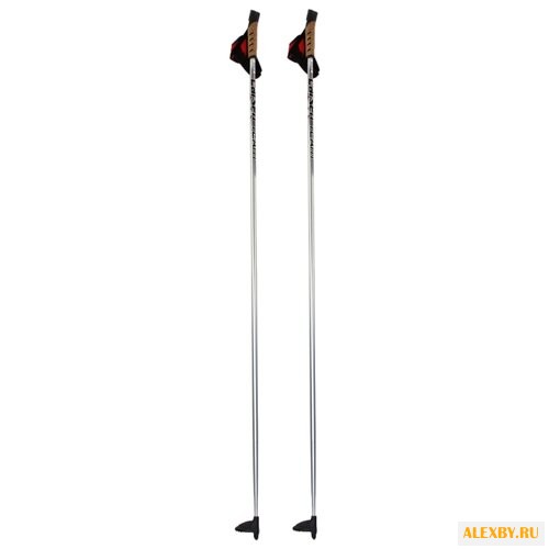 Лыжные палки Larsen Team