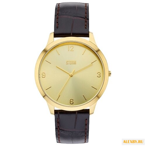 Наручные часы STORM Elwood Gold