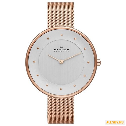 Наручные часы SKAGEN SKW2142