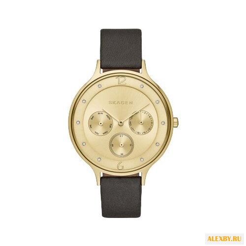 Наручные часы SKAGEN SKW2393