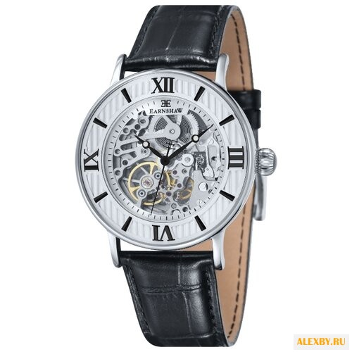 Наручные часы EARNSHAW ES-8038-02