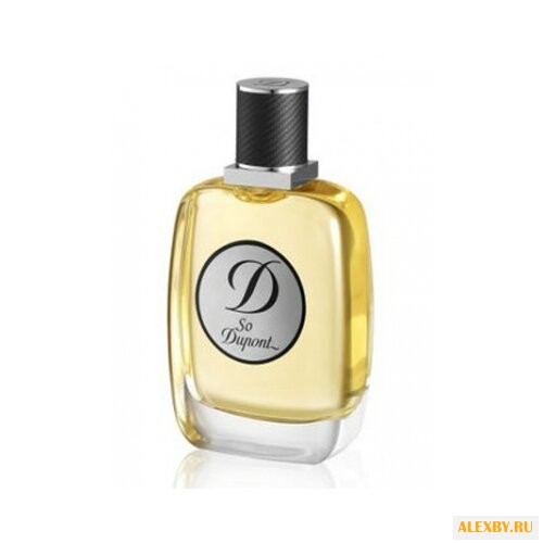 S.T.Dupont So Dupont pour Homme