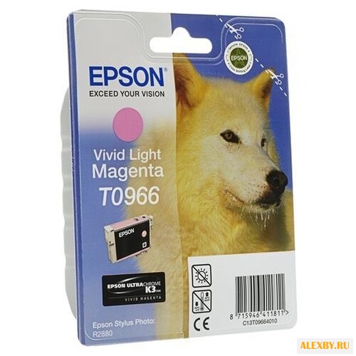 Картридж Epson C13T09664010
