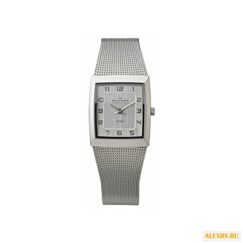 Наручные часы SKAGEN 523XSSS