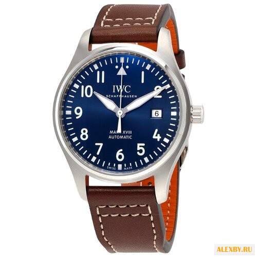 Наручные часы IWC IW327004