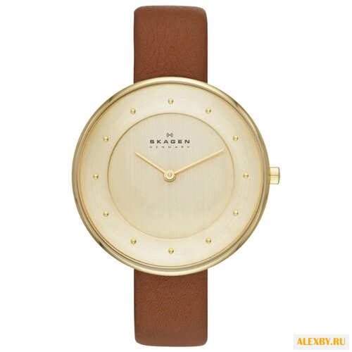 Наручные часы SKAGEN SKW2138