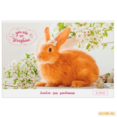 Альбом для рисования ArtSpace