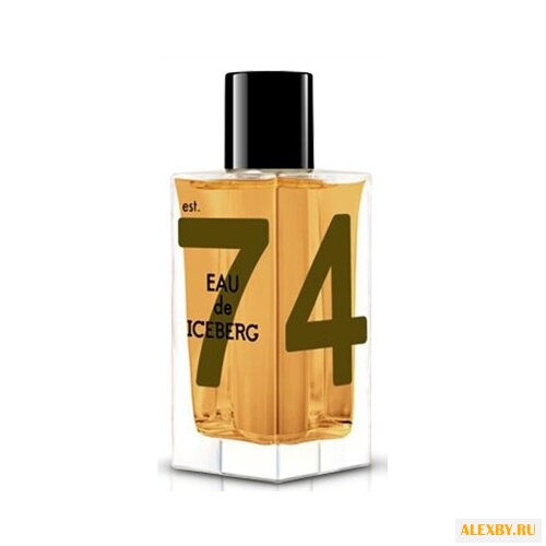 Iceberg Eau de Iceberg Amber