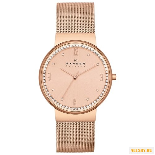 Наручные часы SKAGEN SKW2130