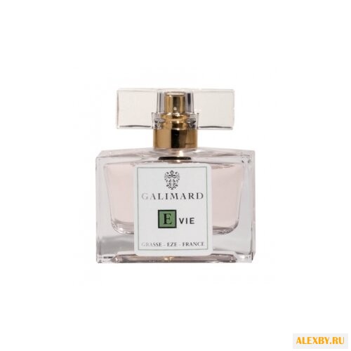 Galimard Evie