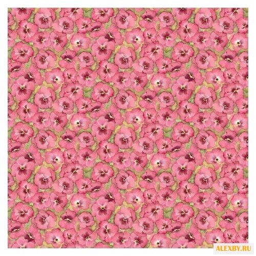 Бумага K&Company 31х31 см 25