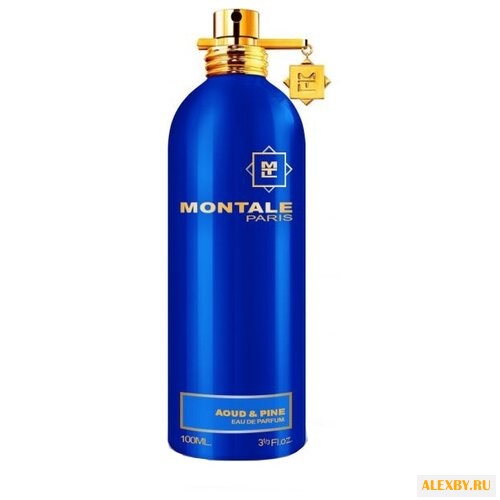 MONTALE Aoud & Pine