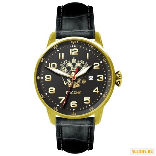 Наручные часы СПЕЦНАЗ С2879336-05
