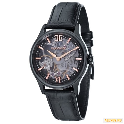 Наручные часы EARNSHAW ES-8061-06