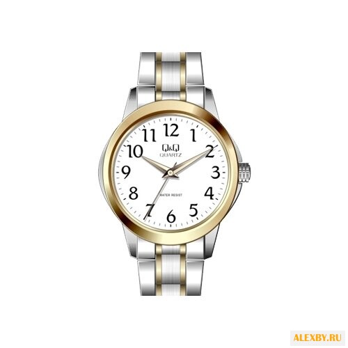 Наручные часы Q&Q Q861 J404
