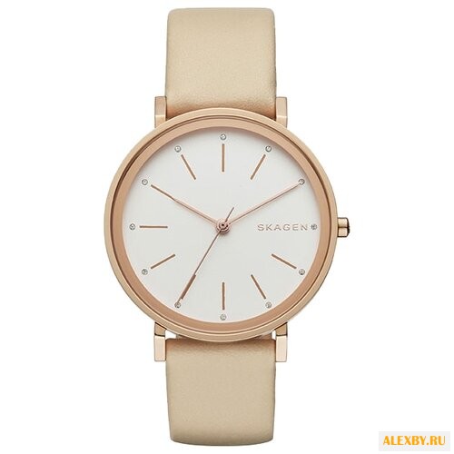 Наручные часы SKAGEN SKW2489