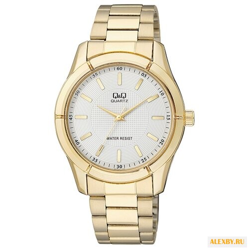 Наручные часы Q&Q Q876 J001