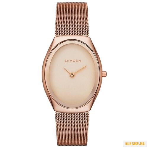 Наручные часы SKAGEN SKW2299