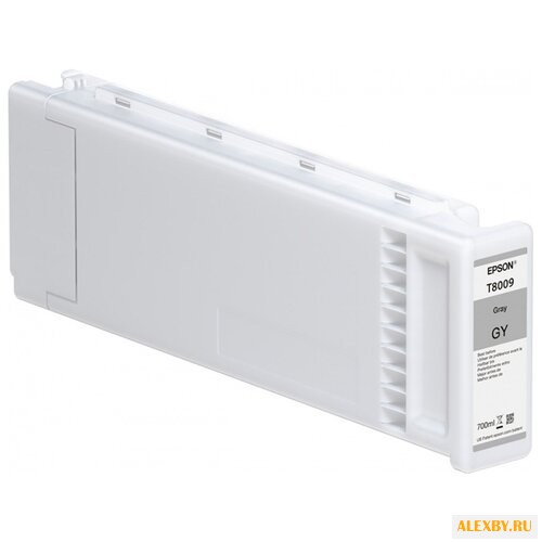 Картридж Epson C13T800900