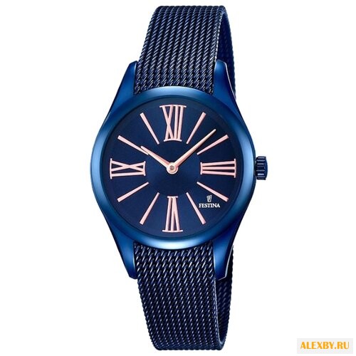 Наручные часы FESTINA F16963 1