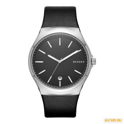 Наручные часы SKAGEN SKW6260