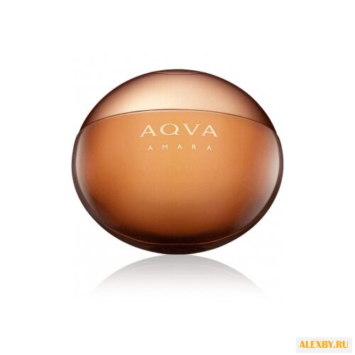 Bulgari Aqva Amara