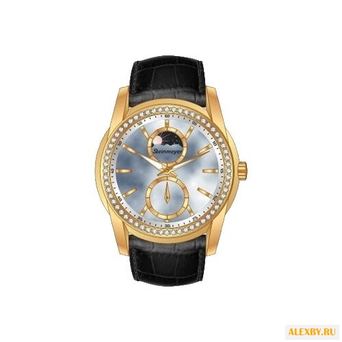Наручные часы Steinmeyer S