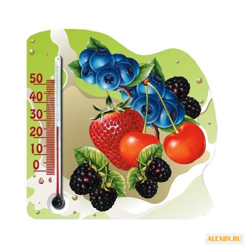 Термометр Стеклоприбор П-21