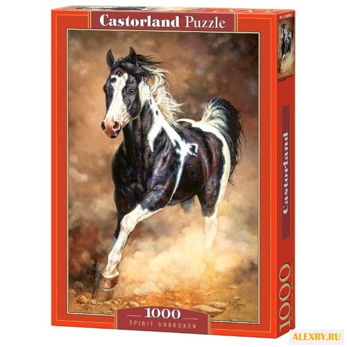 Пазл Castorland Spirit Unbroken