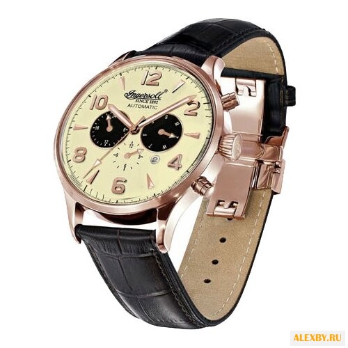 Наручные часы Ingersoll IN1309RCR