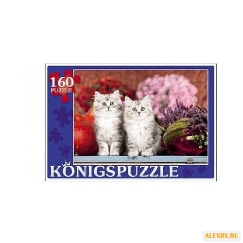 Пазл Рыжий кот Konigspuzzle