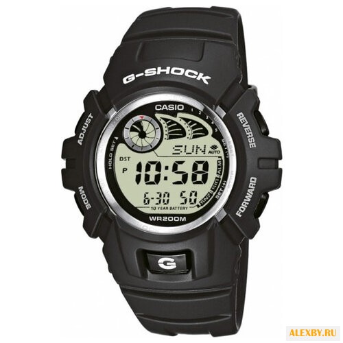 Наручные часы CASIO G-2900F-8V