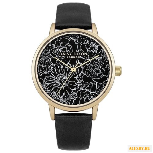Наручные часы DAISY DIXON DD019BG