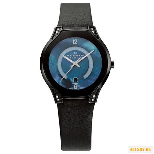 Наручные часы SKAGEN 886SBLB