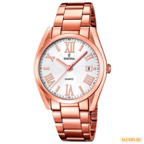 Наручные часы FESTINA F16793 1