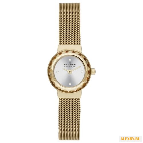 Наручные часы SKAGEN SKW2186