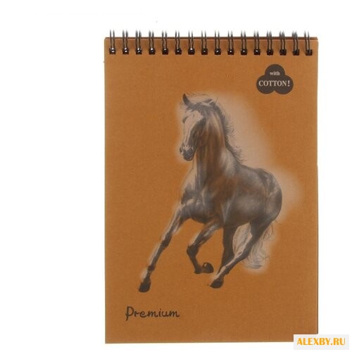 Скетчбук для пастели Лилия