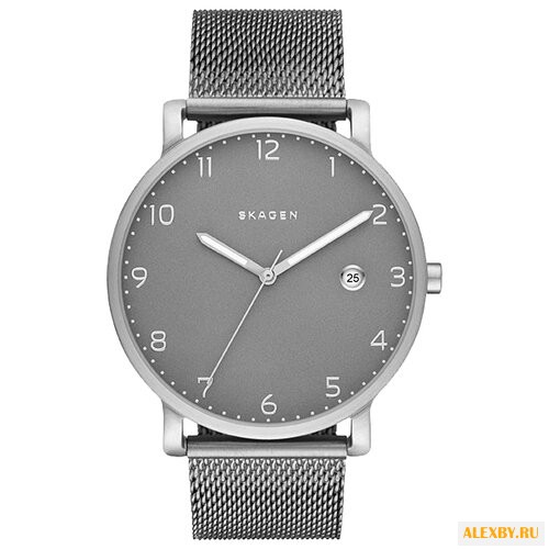 Наручные часы SKAGEN SKW6307
