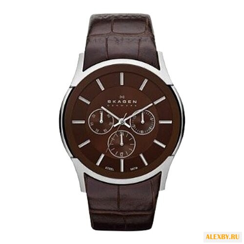 Наручные часы SKAGEN SKW6001