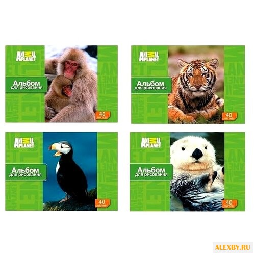 Альбом для рисования Action!