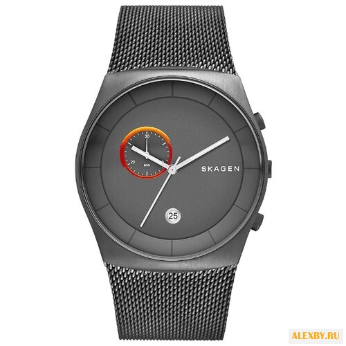 Наручные часы SKAGEN SKW6186