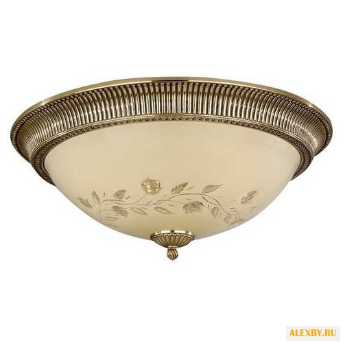 Reccagni Angelo PL 6308 4