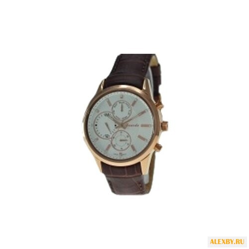 Наручные часы Guardo S09877A.8