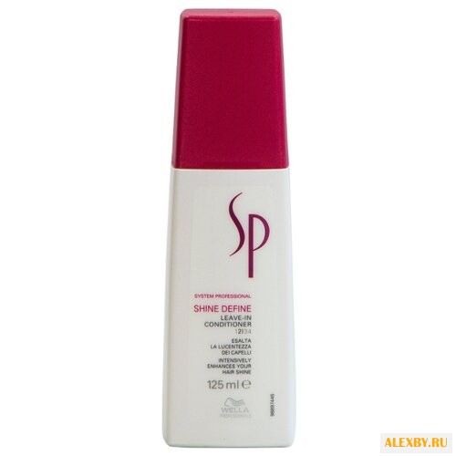 SYSTEM PROFESSIONAL SHINE