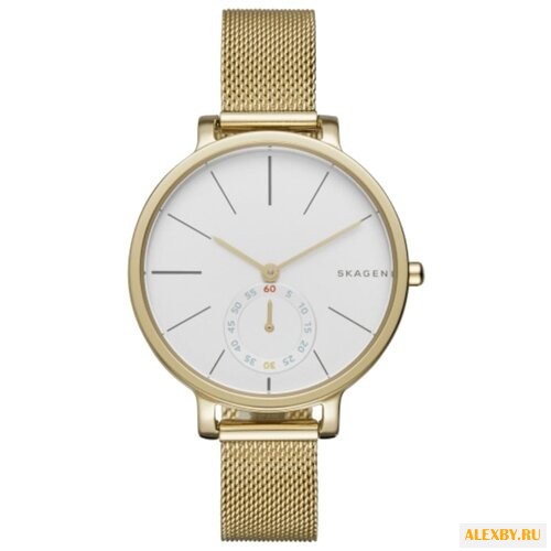 Наручные часы SKAGEN SKW2436