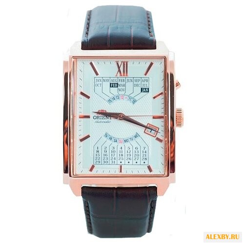 Наручные часы ORIENT EUAG001W