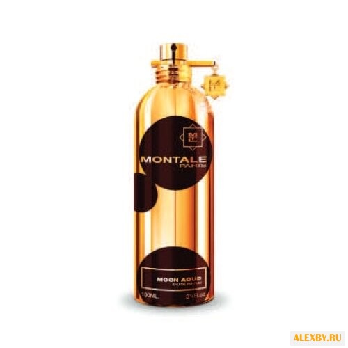 MONTALE Moon Aoud